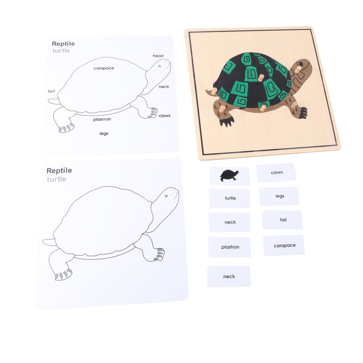 Puzzle de la tortue - Eveil Montessori Maroc