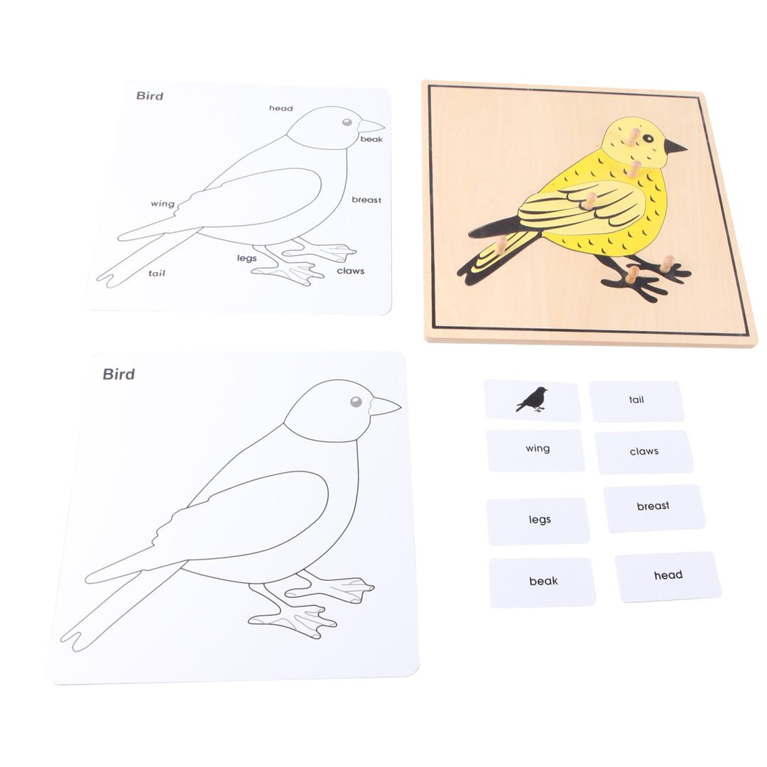 Puzzle Oiseau - Eveil Montessori Maroc