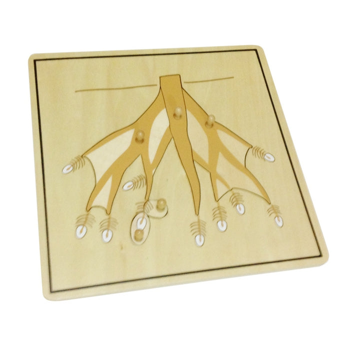 puzzle de la racine - Eveil Montessori Maroc