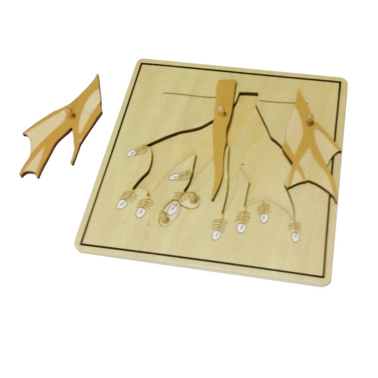 puzzle de la racine - Eveil Montessori Maroc