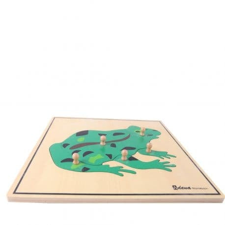 Puzzle Grenouille - Eveil Montessori Maroc