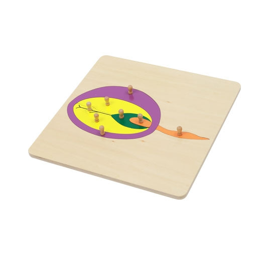 Puzzle de la graine - Eveil Montessori Maroc