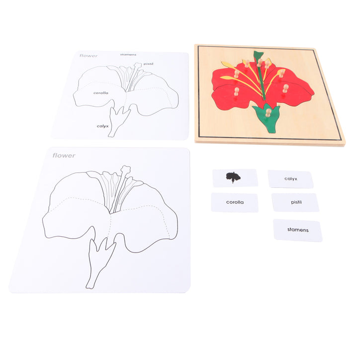 Puzzle de la fleur - Eveil Montessori Maroc