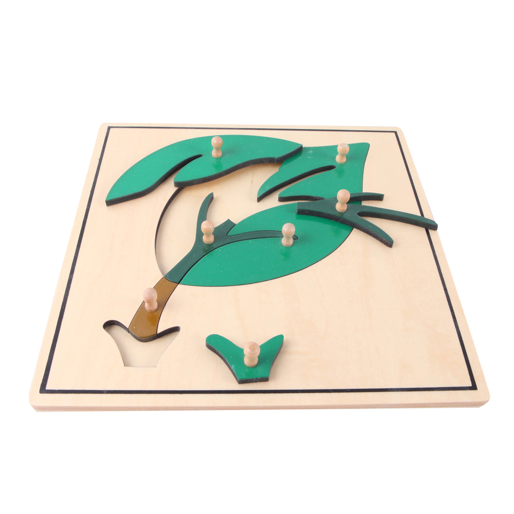 Puzzle de la feuille - Eveil Montessori Maroc