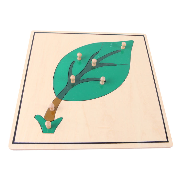 Puzzle de la feuille - Eveil Montessori Maroc