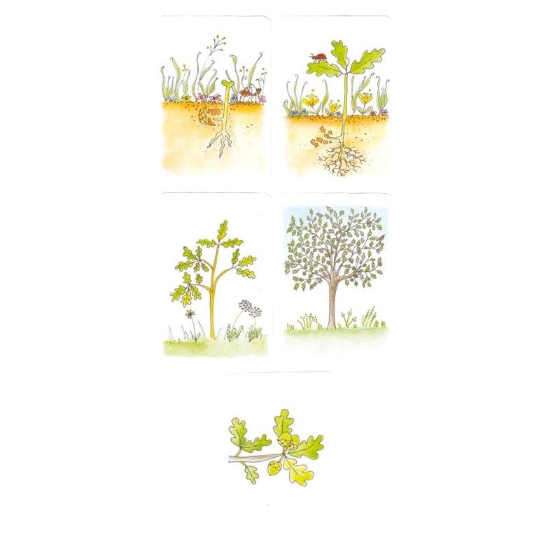 Les histoires à raconter - Eveil Montessori Maroc