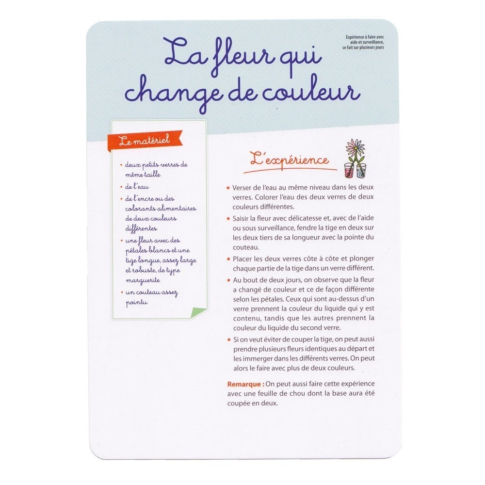 Les expériences de sciences - Eveil Montessori Maroc