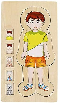 Puzzle multicouche Garçon - Structure Humaine - Eveil Montessori Maroc
