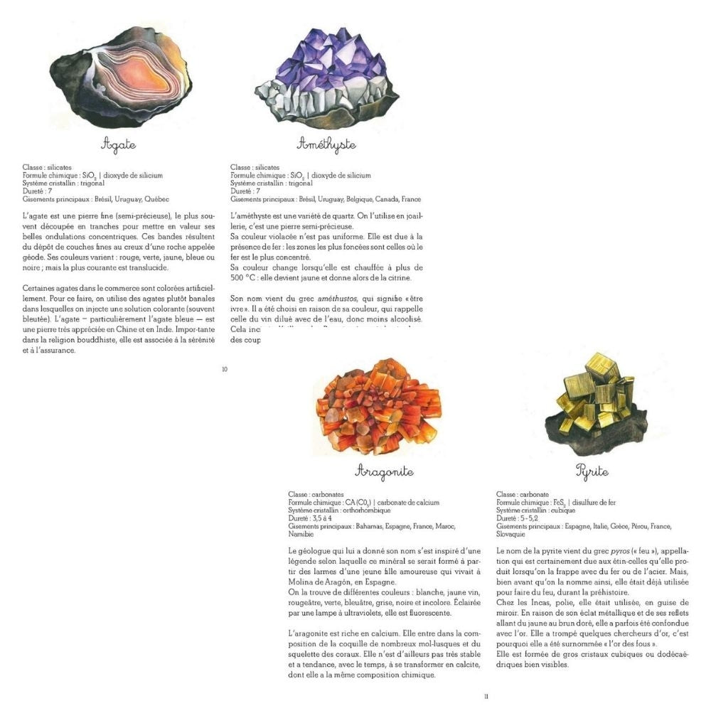 Mon coffret Montessori des minéraux - Avec 2 pierres véritables - Dès 5 ans - Eveil Montessori Maroc