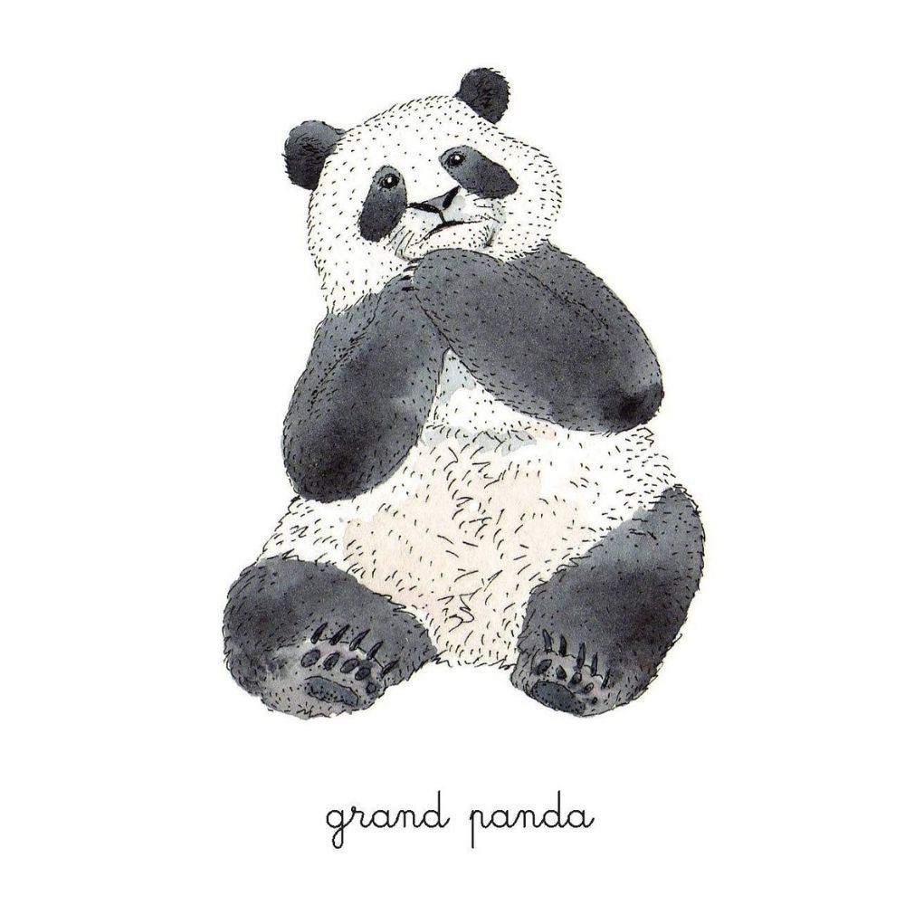 Mon coffret Montessori des animaux - Dès 3 ans - Eveil Montessori Maroc