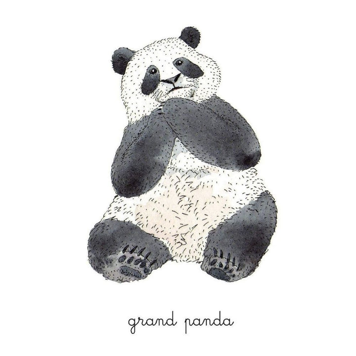 Mon coffret Montessori des animaux - Dès 3 ans - Eveil Montessori Maroc