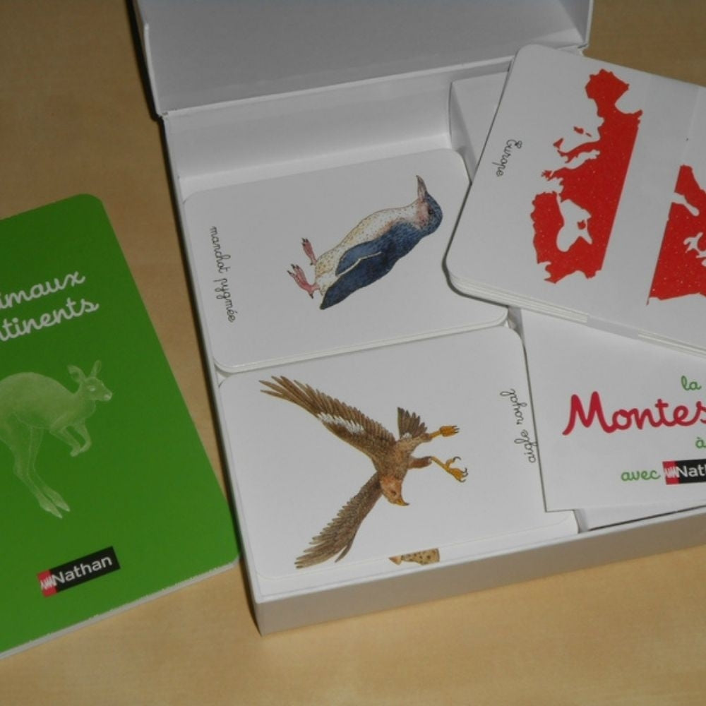 Mon coffret Montessori des animaux - Dès 3 ans - Eveil Montessori Maroc