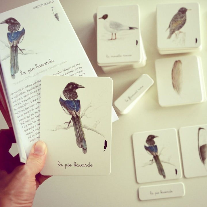 Mon Coffret Montessori des Oiseaux - Dès 3 ans - Eveil Montessori Maroc