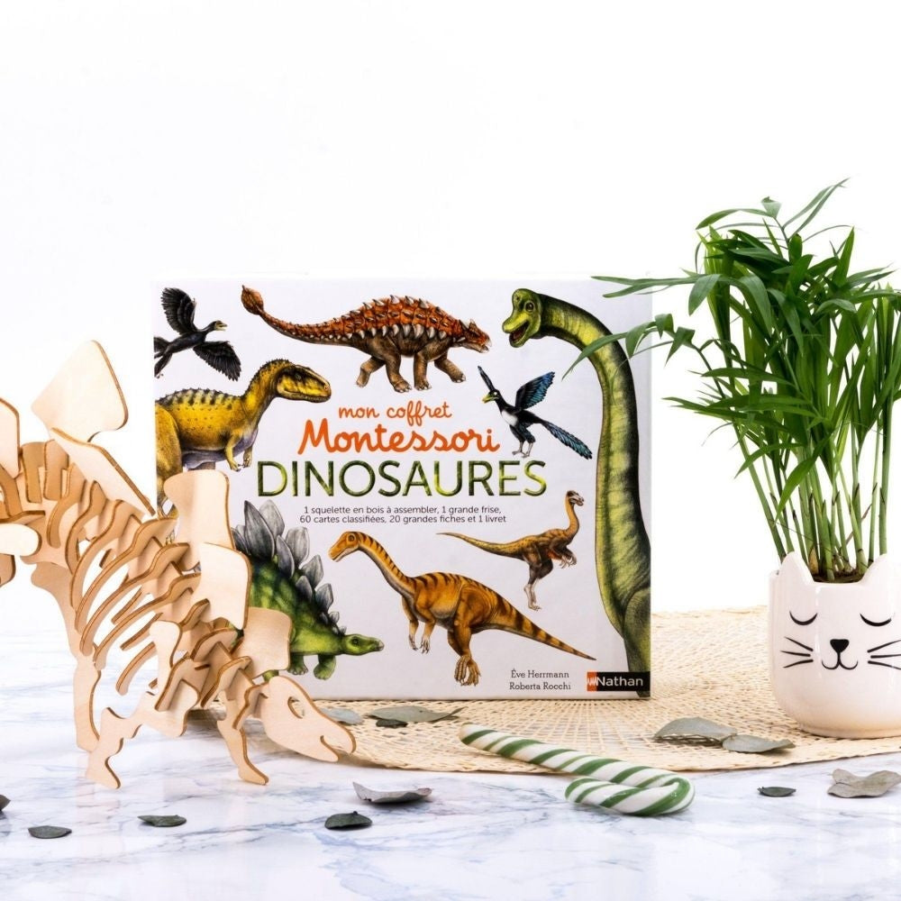 Mon coffret Montessori dinosaures - Dès 5 ans - Eveil Montessori Maroc