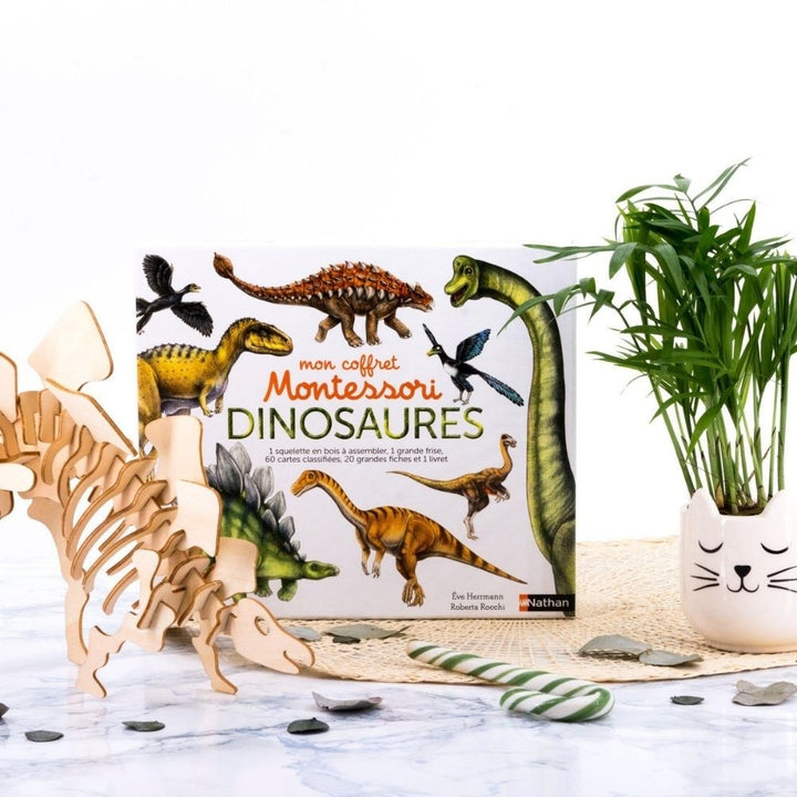 Mon coffret Montessori dinosaures - Dès 5 ans - Eveil Montessori Maroc