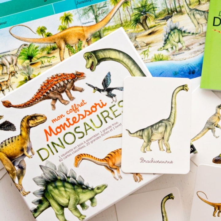 Mon coffret Montessori dinosaures - Dès 5 ans - Eveil Montessori Maroc