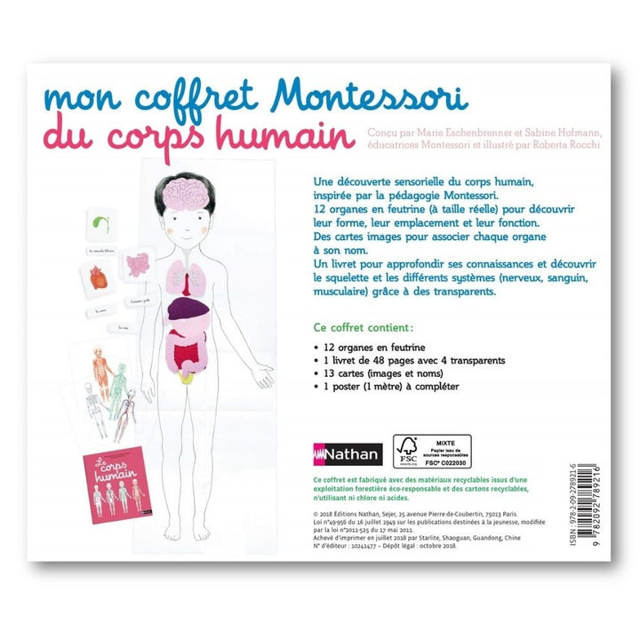 Mon coffret Montessori du corps humain - 6/9 ans - Eveil Montessori Maroc