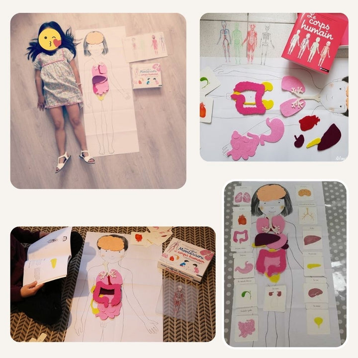 Mon coffret Montessori du corps humain - 6/9 ans - Eveil Montessori Maroc