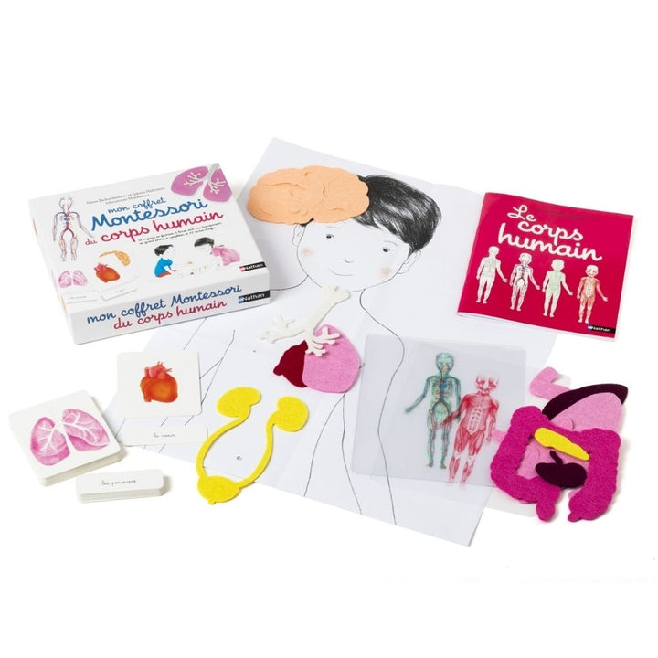 Mon coffret Montessori du corps humain - 6/9 ans - Eveil Montessori Maroc