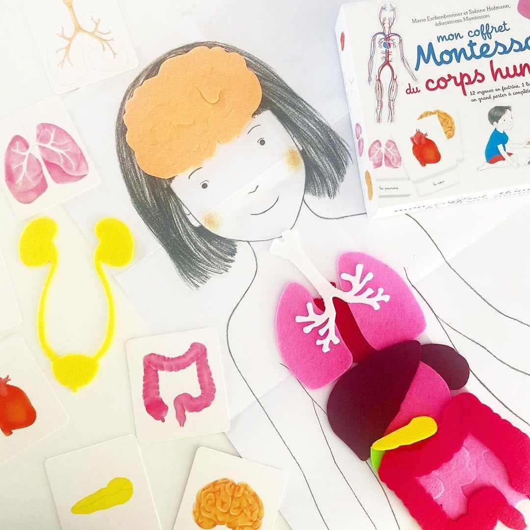 Mon coffret Montessori du corps humain - 6/9 ans - Eveil Montessori Maroc
