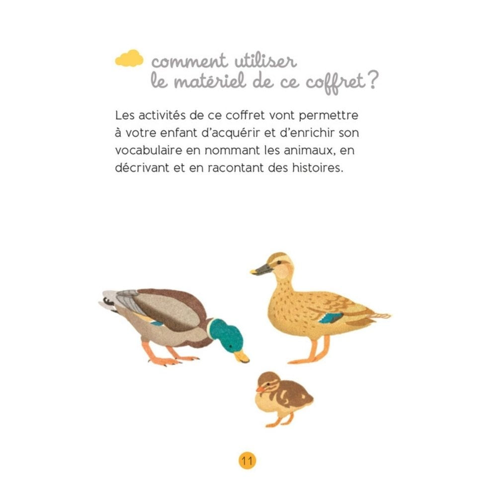 Tout-petit Montessori - coffret cartes classifiées des animaux de la ferme et leurs petits - dès 15 mois - Eveil Montessori Maroc