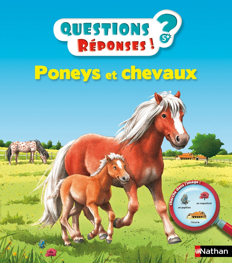 Poneys et chevaux - Eveil Montessori Maroc