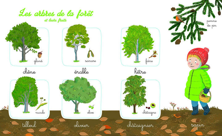 Mon imagier de la nature Montessori – Album documentaire Montessori avec plus de 150 mots - Eveil Montessori Maroc