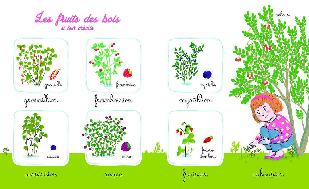 Mon imagier de la nature Montessori – Album documentaire Montessori avec plus de 150 mots - Eveil Montessori Maroc