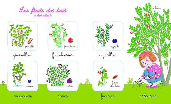 Mon imagier de la nature Montessori – Album documentaire Montessori avec plus de 150 mots - Eveil Montessori Maroc