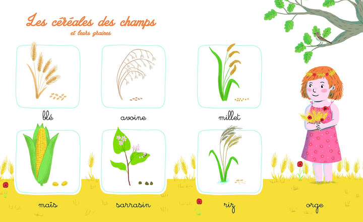Mon imagier de la nature Montessori – Album documentaire Montessori avec plus de 150 mots - Eveil Montessori Maroc