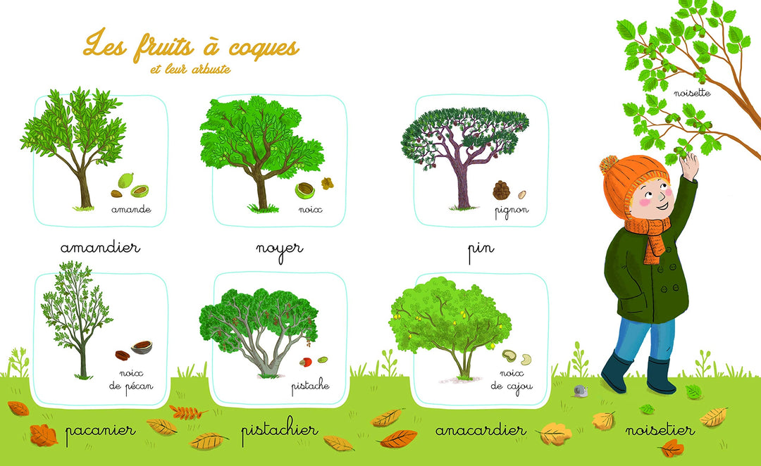 Mon imagier de la nature Montessori – Album documentaire Montessori avec plus de 150 mots - Eveil Montessori Maroc