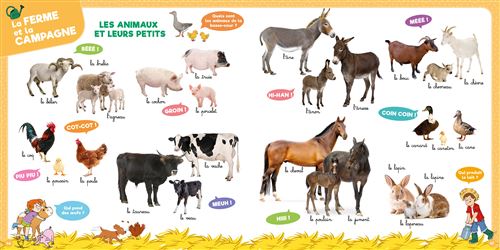 Mon grand imagier avec Sami et Julie