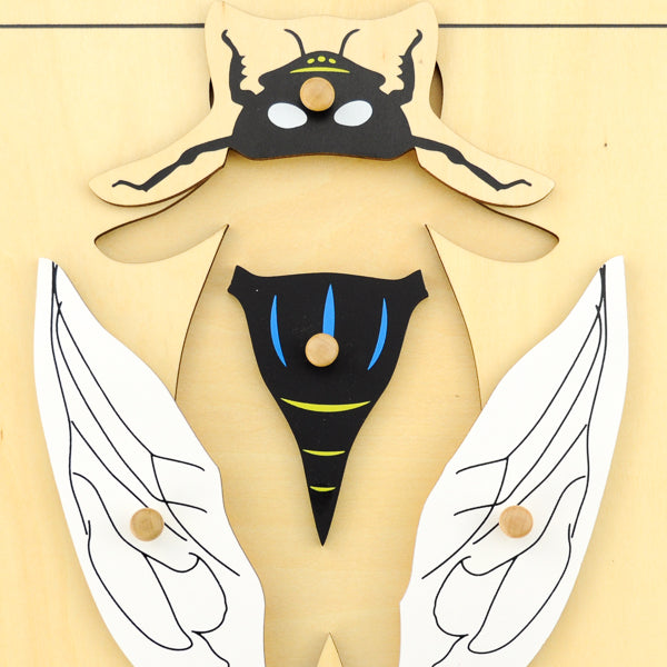 Puzzle de la Mouche - Eveil Montessori Maroc