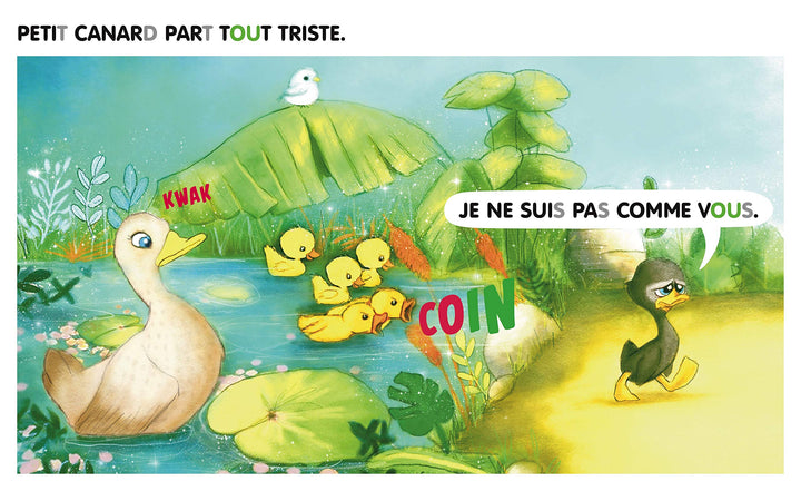 Le Petit Canard : Céline Alvarez - Eveil Montessori Maroc