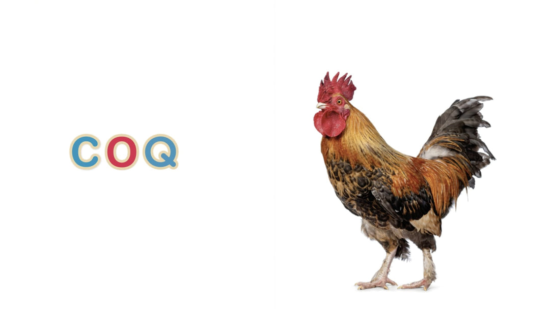 Mon imagier niveau 1 : Céline Alvarez - Eveil Montessori Maroc