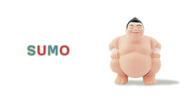 Mon imagier niveau 1 : Céline Alvarez - Eveil Montessori Maroc