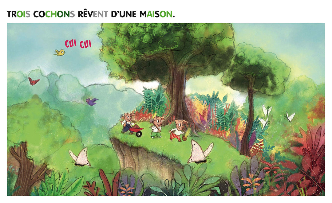 Trois petits cochons : Céline Alvarez - Eveil Montessori Maroc