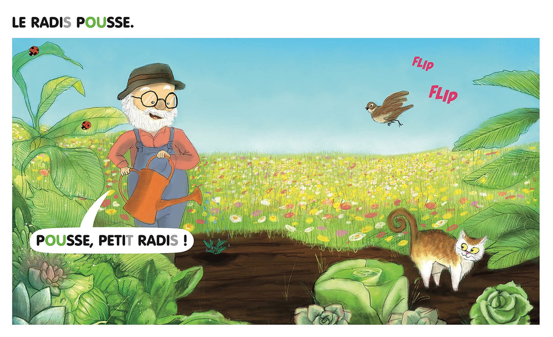 Le Gros Radis : Céline Alvarez - Eveil Montessori Maroc