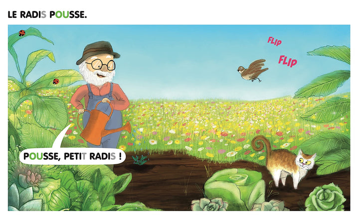 Le Gros Radis : Céline Alvarez - Eveil Montessori Maroc