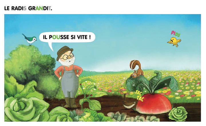 Le Gros Radis : Céline Alvarez - Eveil Montessori Maroc