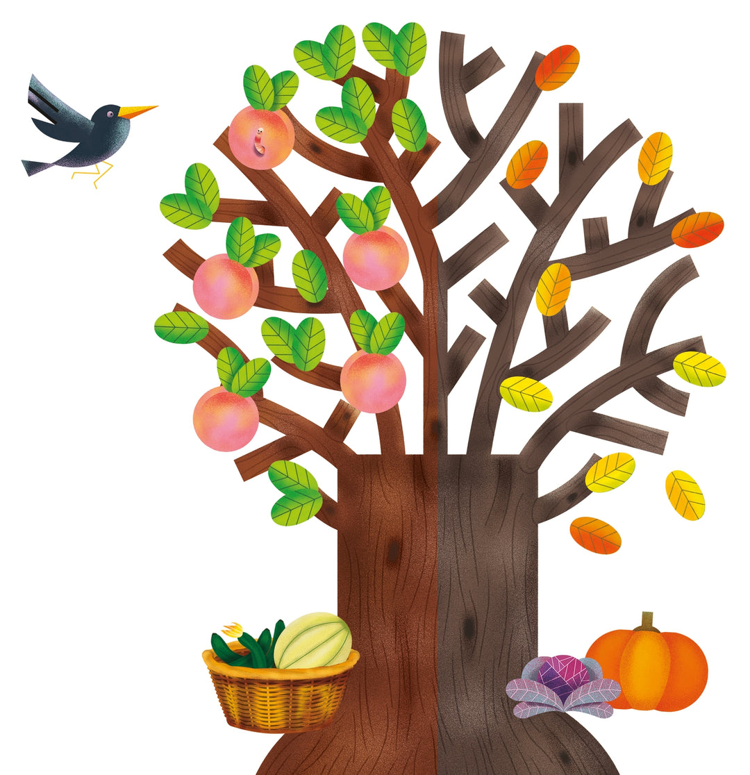 Au rythme des saisons - Eveil Montessori Maroc