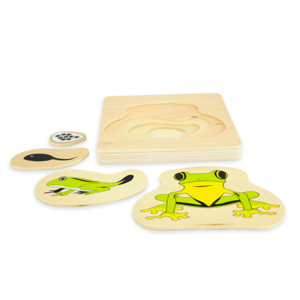 Puzzle cycle de vie de la grenouille - Eveil Montessori Maroc