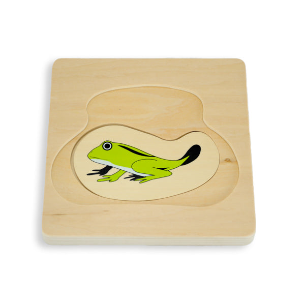 Puzzle cycle de vie de la grenouille - Eveil Montessori Maroc