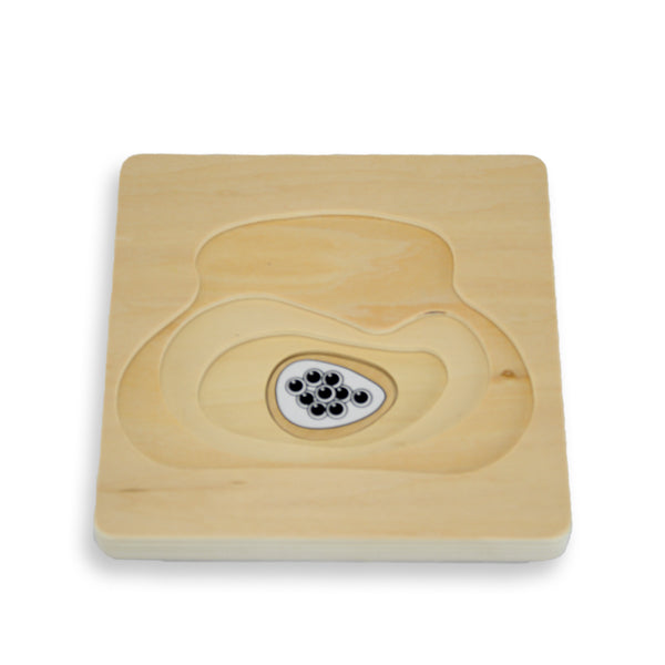 Puzzle cycle de vie de la grenouille - Eveil Montessori Maroc