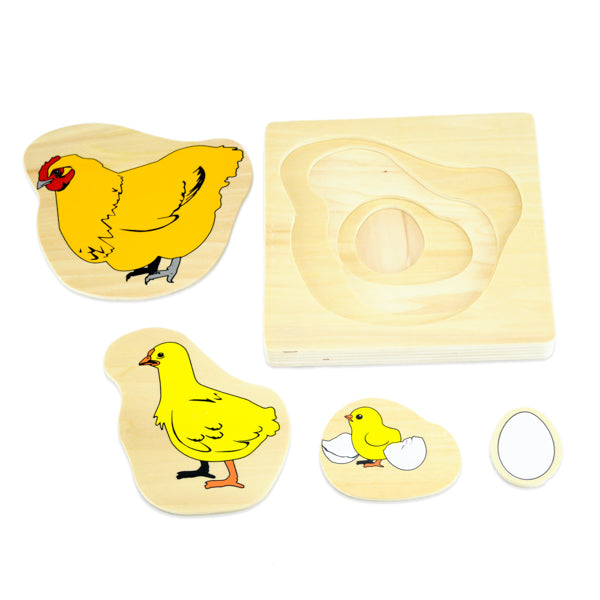 Puzzle cycle de vie de la poule - Eveil Montessori Maroc