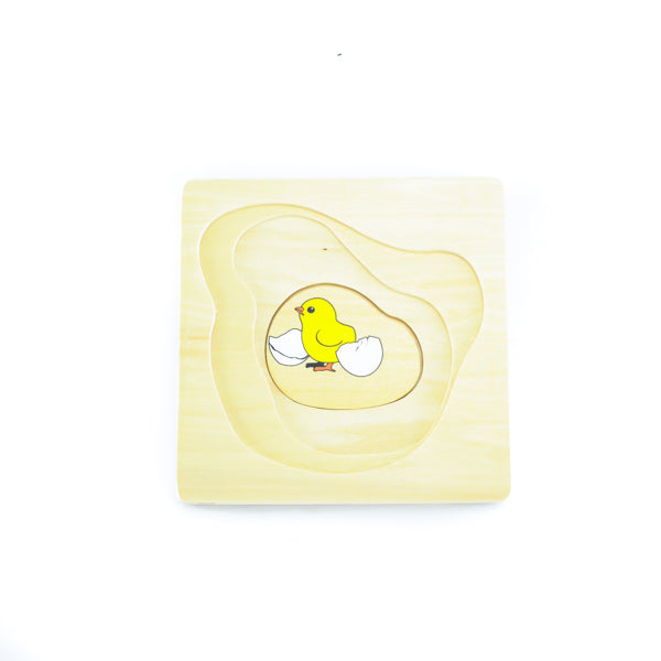 Puzzle cycle de vie de la poule - Eveil Montessori Maroc