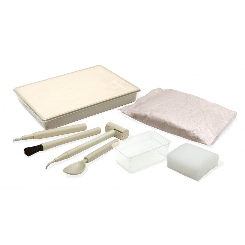 DinoKit - Stegosaure - Eveil Montessori Maroc