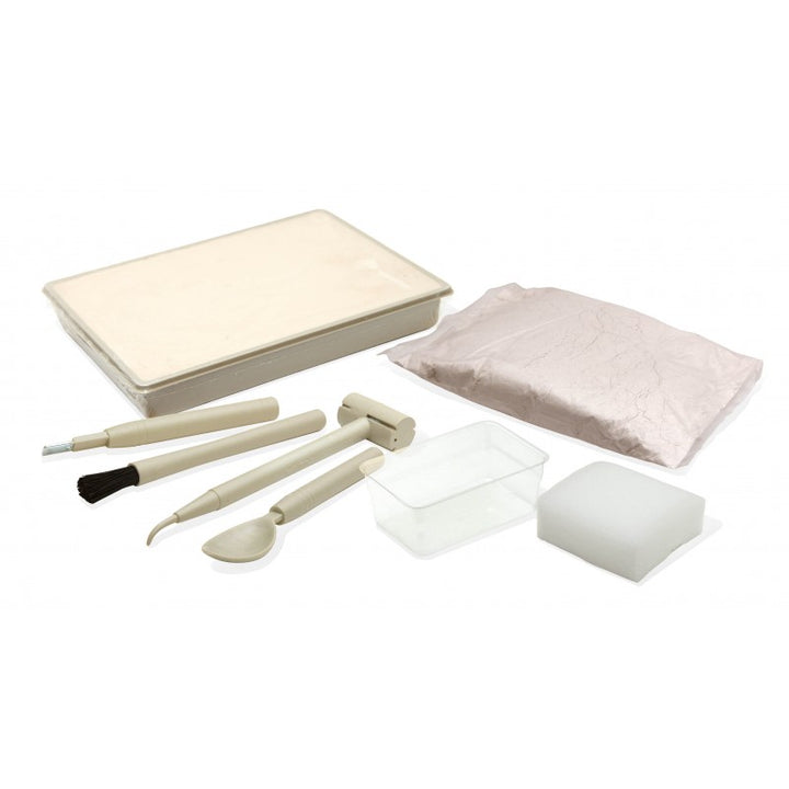 DinoKit - Stegosaure - Eveil Montessori Maroc