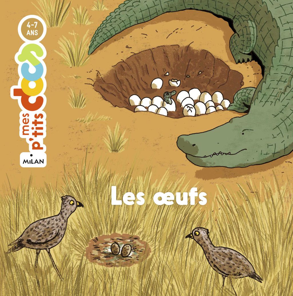 Les Oeufs - Eveil Montessori Maroc