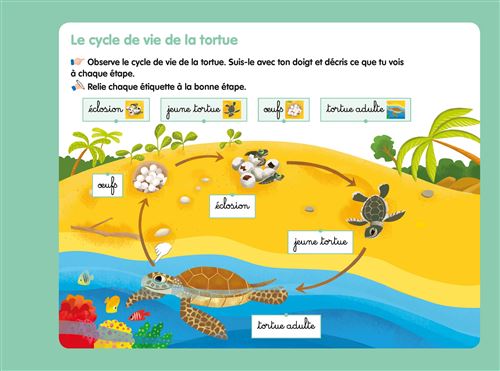 Les livres-ardoises - Les Cycles de vie Montessori - Eveil Montessori Maroc